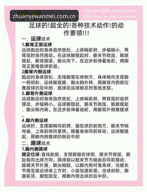完美体育官方网站登录 完美体育平台深度解析:新手入门到精通的全方位指南